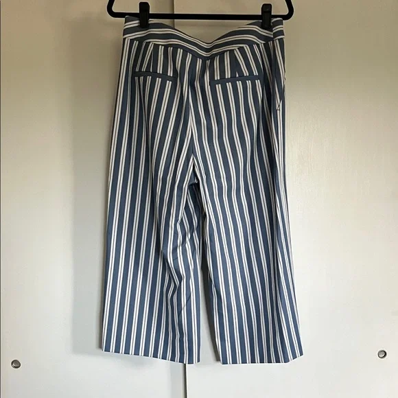 EUC | 10P | Banana Republic Blue and White Striped Wide Leg Capris - Picture 4 of 5